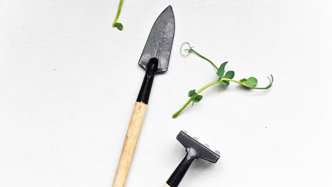 Hand Hoe Tools for Gardening